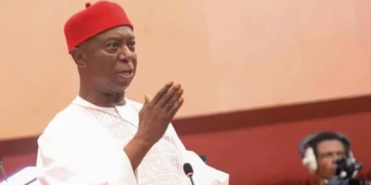 Insecurity: Allow Nigerians to carry guns – Ned Nwoko tells FG again