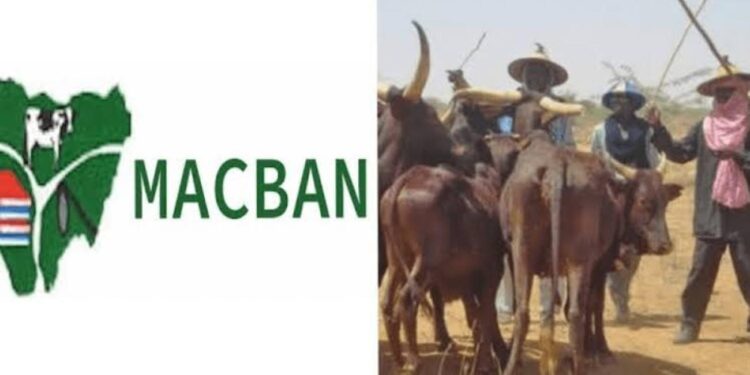 11 Herders, 33 Cattle Missing In Anambra – Miyetti Allah Raises Alarm
