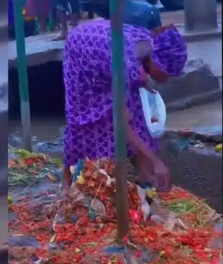 Hardship: Woman filmed picking discarded roadside tomatoes (video)