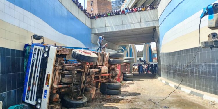 Truck Loaded With Cattle Tumbles On Kano Flyover (Photos)