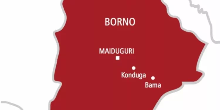 2 Female Suicide Bombers Arrested 24 Hours After Multiple Blasts In Borno