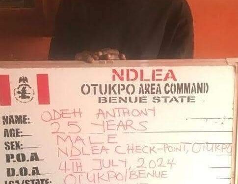 NDLEA Smashes Cocaine Syndicate, Arrests Monarch, Corps Member