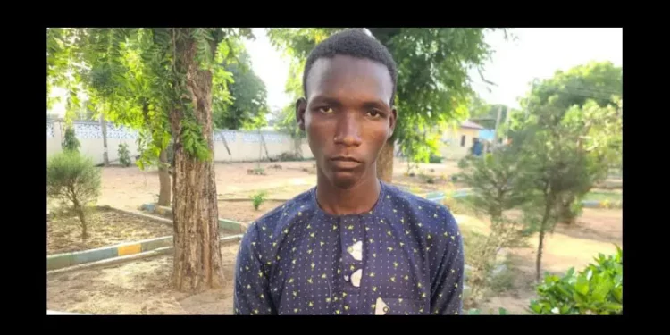 Man Arrested In Yobe For Kidnapping & Impregnating 20-Year-Old Lady (Photo)