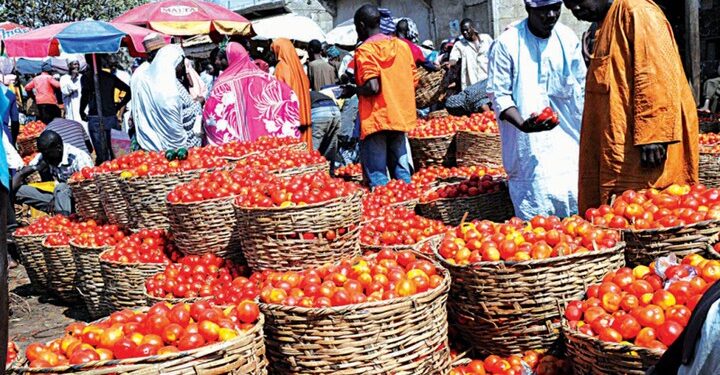 We’ll Regulate Price Of Imported Foodstuffs — FG