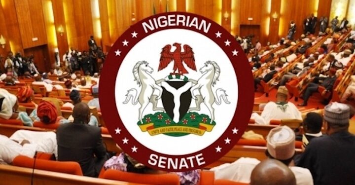 Senate seeks inclusion of domestic servants in new national minimum wage scheme