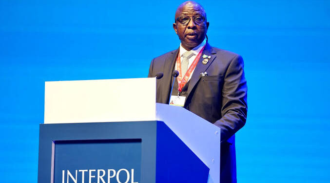 Thousands Of Dollars Flown Out Of Nigeria Every Hour – INTERPOL VP Africa