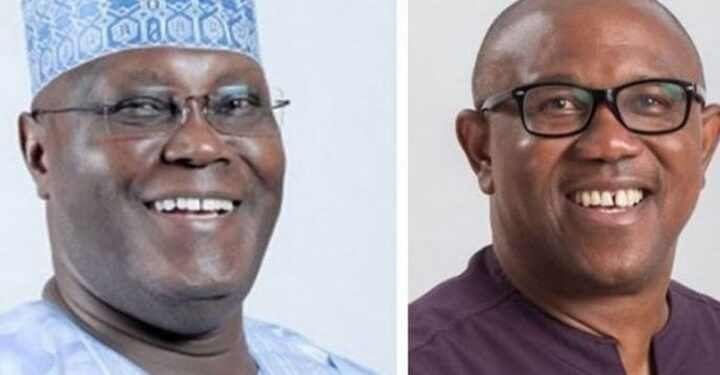 Palliatives Alone Can’t Solve Escalating Hunger – Atiku