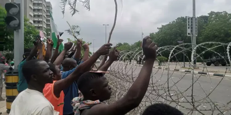 Abuja Protesters Overrun Federal Secretariat Complex, Defying Security Crackdown