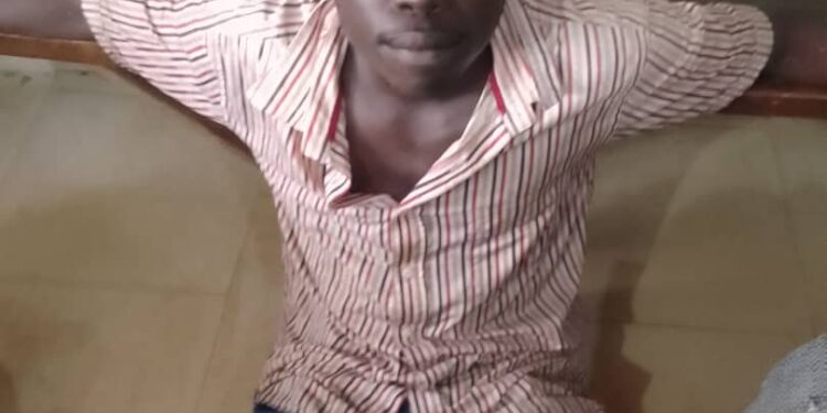 Vandalism Hits Maimuna Gwarzo Nursery And Primary School In Kaduna (Photos)