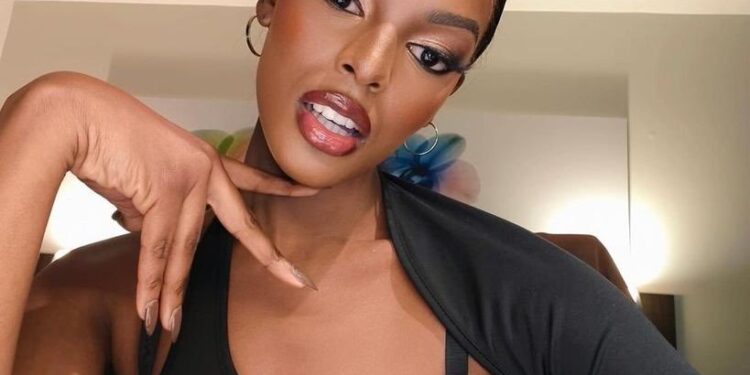 Fraud, Identity Theft Committed By Chidimma Vanessa’s Mother – SA Home Affairs