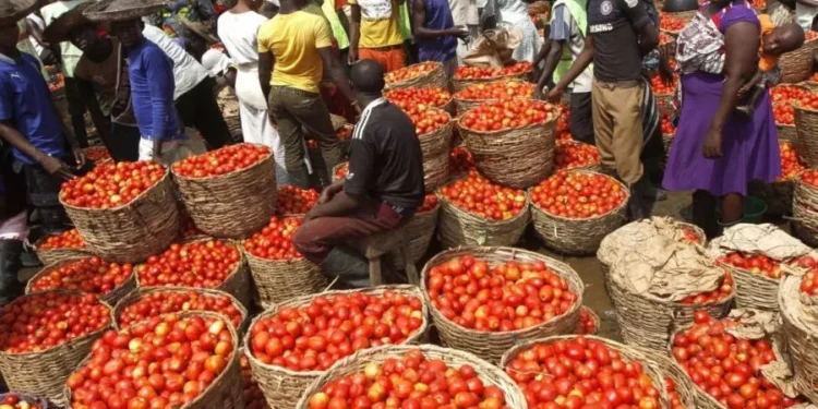 Prices Of Tomatoes, Pepper Crash From ₦130,000 To ₦60,000 Per Basket – Rewane