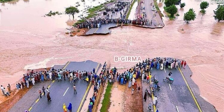 Flood Cuts Off Kano-Maiduguri Expressway (Photos)