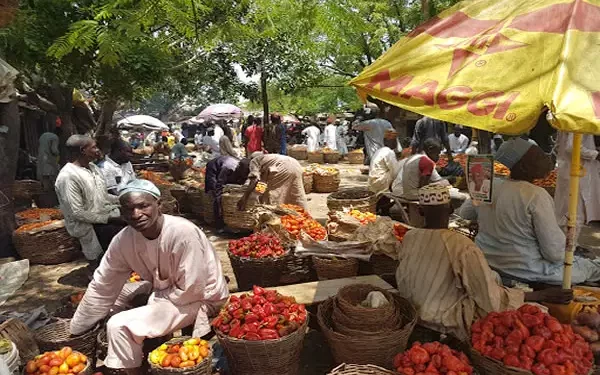 Socio-Economic Activities Return To Kaduna, Kano As Residents Shun Protests