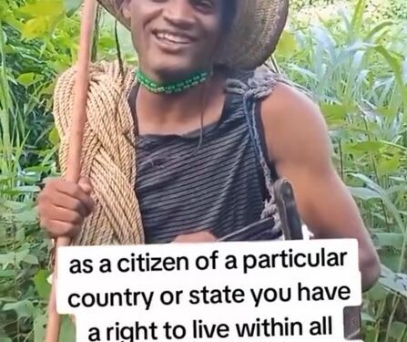 Fulani Man Says They Pay Traditional Rulers Before They Can Move Their Cattle (Video)