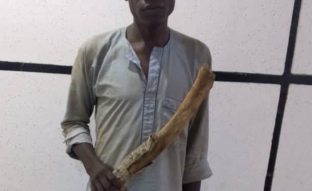 Jigawa Tea Vendor Beats Man To Death Over Missing Indomie, Bread (Photo)