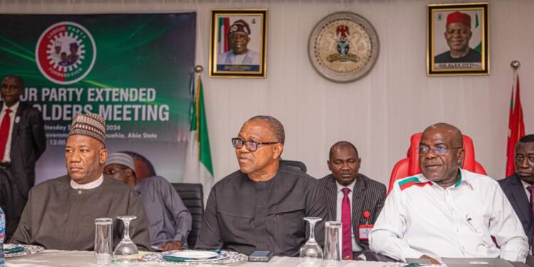 Nenadi Usman Is The New Acting Labour Party National Chairman. Abure Sacked