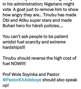 ‘We Might Vote A Goat To Remove You’ – Tinubu’s Supporter Laments Hardship