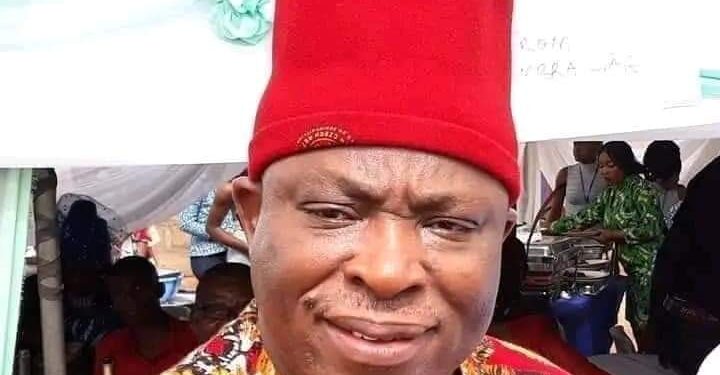 My Party Currently Has No Leadership – LP Senator, Victor Umeh
