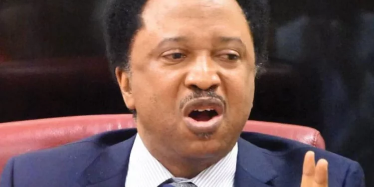 Dangote A Businessman, Not ‘Father Christmas’ – Shehu Sani Cautions Nigerians