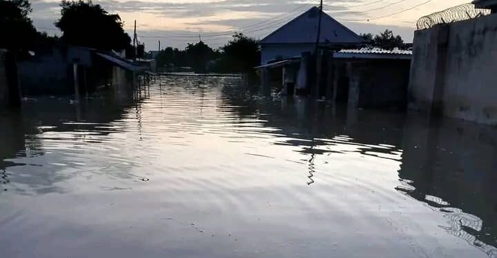 Flood Takes Over Shehu Of Borno’s Palace, Displaces Residents