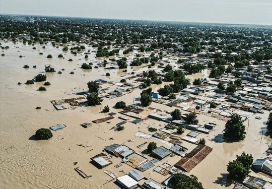 Dangote Donates ₦‎1.5 Billion To Borno Flood Victims