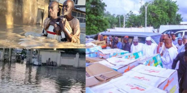Tinubu Approves 50 Trucks Of Maize, Rice For Borno Flood Victims