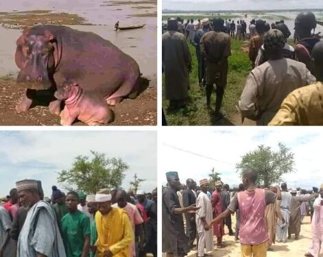 Emir Of Yauri’s Guard Killed In Hippopotamus Attack In Kebbi State