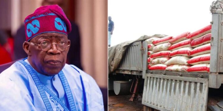Civil Servants Kick As Tinubu Government Suspends Sale Of Subsidised Rice In Abuja