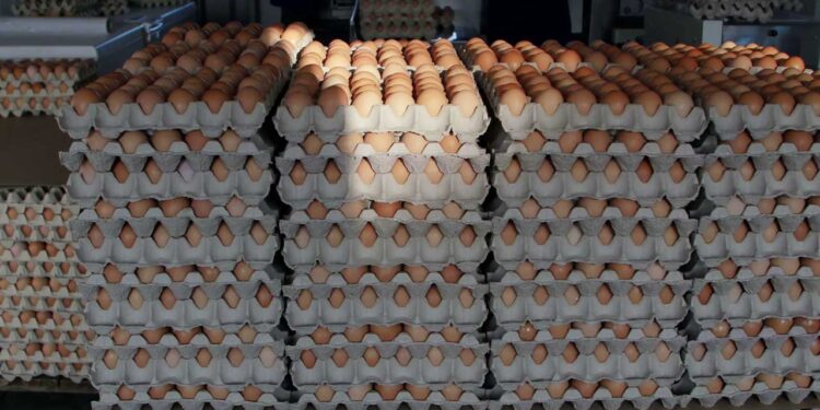 Price Of Eggs To Hit ₦‎10,000 Per Crate – Poultry Farmers