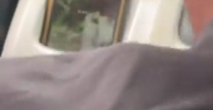 Lady Shocked As She Catches Driver Watching A Movie While Driving (Photos, Video)