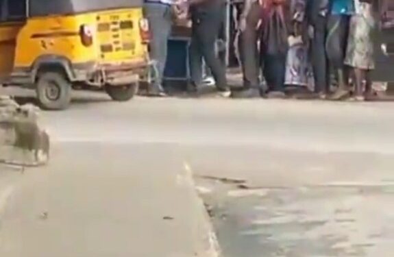 Hunger & Hardship: Lagosians Line Up To Collect Bread From An Oyinbo Man (Video)
