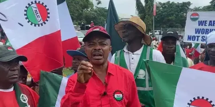 You‘re Behind Nigeria’s Economic Woes – NLC To IMF