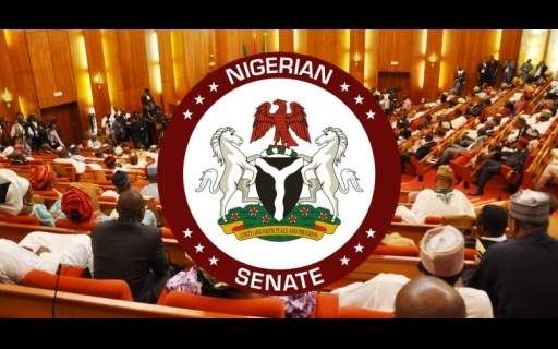 Senate To Screen Bianca Ojukwu, Jumoke, Other Ministerial Nominees Today