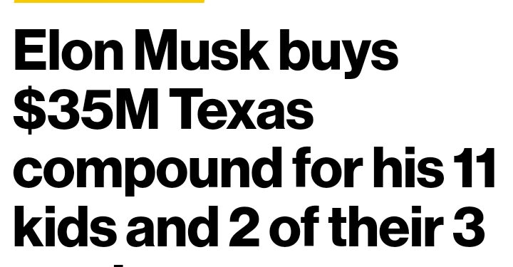 Elon Musk Buys $35 Million 3-Mansion Compound For His 11 Children & 2 Baby Mamas