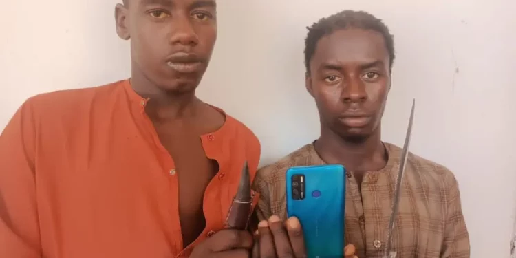 2 Teenagers On Police Watch List Caught In Adamawa (Photo)