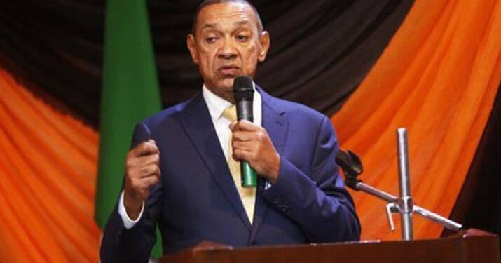 My South African Partner Duped Me Of $3.5 Million In Kenya — Murray-Bruce