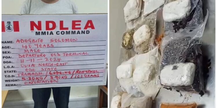 NDLEA Intercepts Hard Drugs Concealed In Food Items, Arrest Masterminds At MMIA