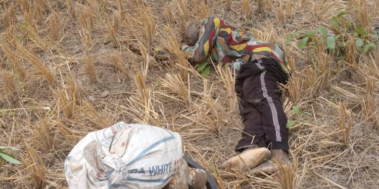 Armed Herdsmen Launh Fresh Attacks In Enugu Community, Kill Three Farmers