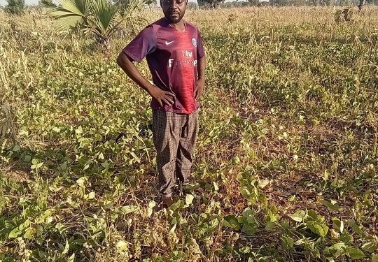 Taraba Man Laments After Thieves Invaded His Farm & Harvested All The Beans (Photos)
