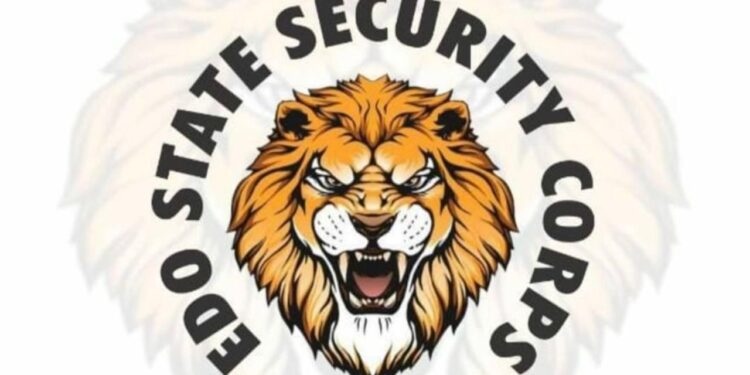 Experts Raise Concerns Over Conflicting Statements On Edo Security Network
