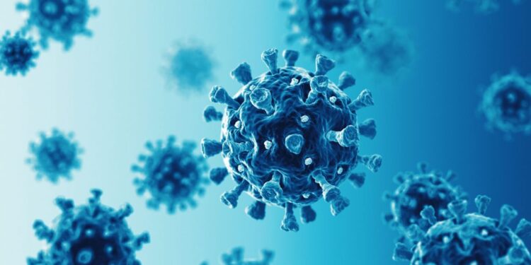 FG Warns Of New COVID-19 Variant XEC Confirmed In 29 Countries