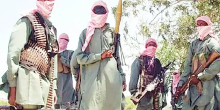 Nigeria, Chad And Niger Launch Joint Military Offensive Against New Terror Group
