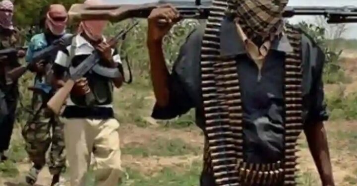 Gunmen Attack Zamfara Community, Abduct Over 50 Women, Girls