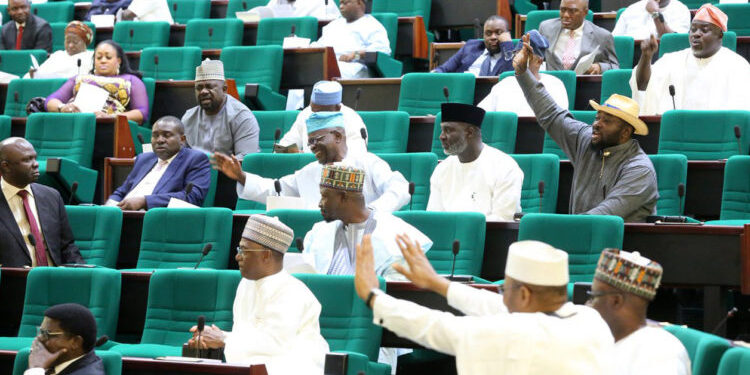 “Stop Harassing Motorists Over Tinted Glass”, Reps Warn FCT Police (Video)