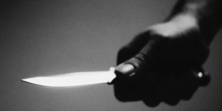 22-Year-Old Man Stabs His Mother To Death In Bayelsa