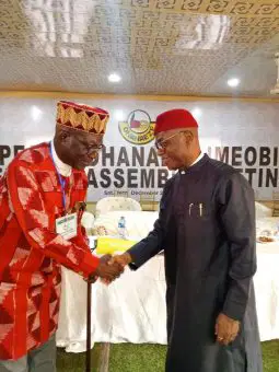 Ohanaeze Ndigbo Names New President-General