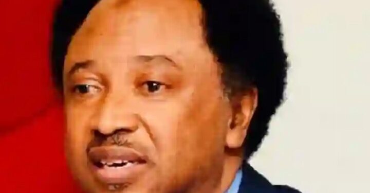 Shehu Sani Warns Against Misuse Of Social Media
