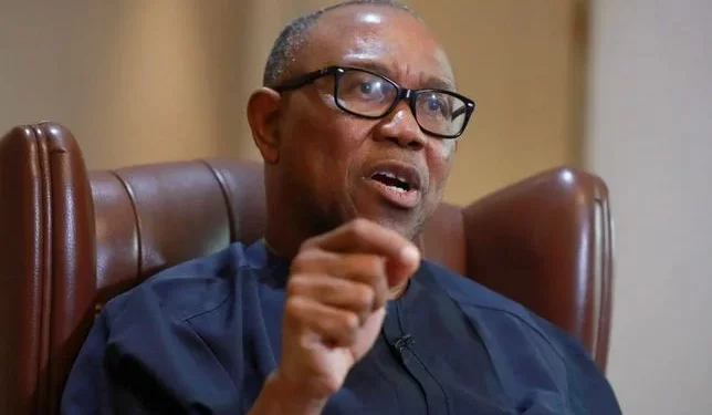 Peter Obi Offers To Meet Dele Farotimi’s Bail Conditions