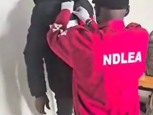 “Businessman” Caught With Drugs At Nigerian Airport (Video)