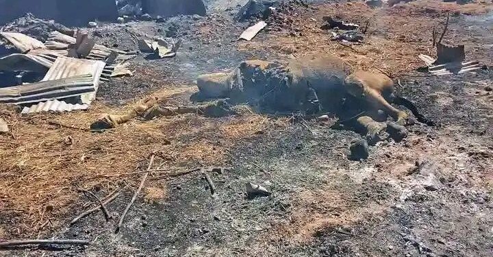 Amnesty International Demands Investigation Of Sokoto Military Airstrikes